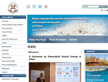Tablet Screenshot of mineralne.pgi.gov.pl